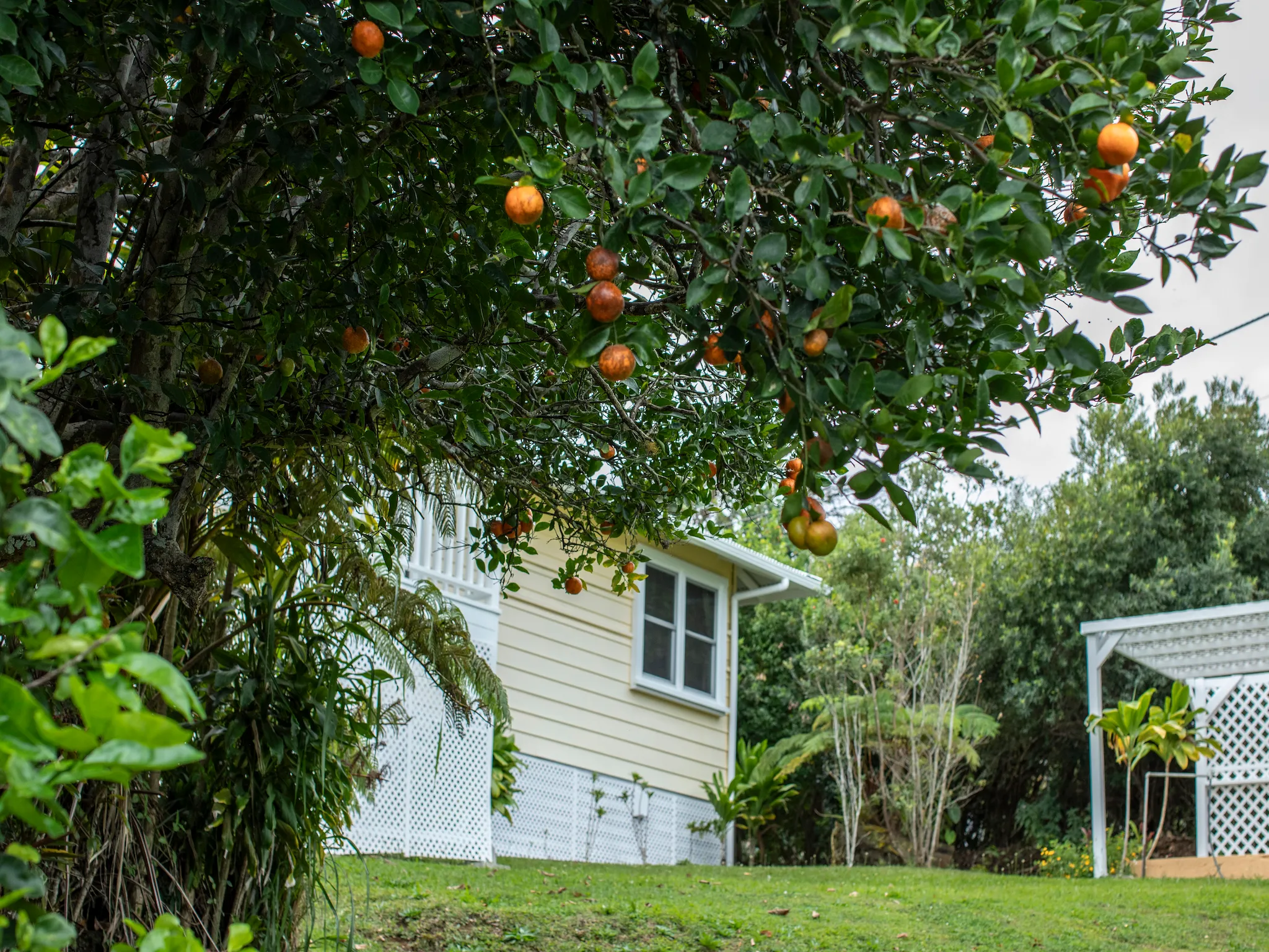 Honokaa, Hawaii 96727, United States, 3 Bedrooms Bedrooms, ,1 BathroomBathrooms,Residential,Active,94289