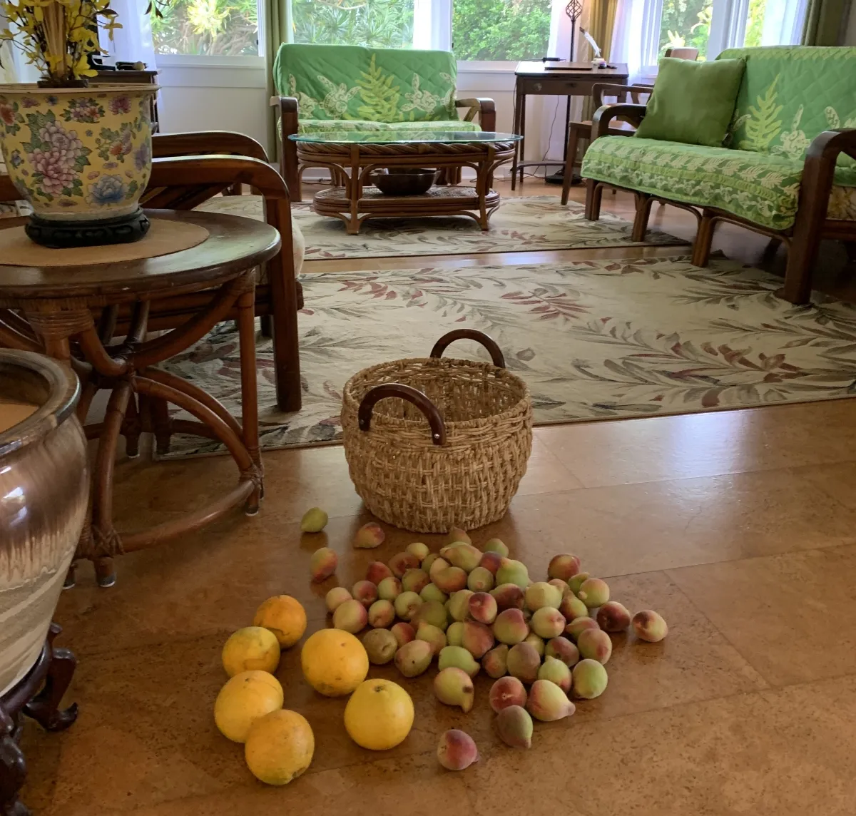 Honokaa, Hawaii 96727, United States, 3 Bedrooms Bedrooms, ,1 BathroomBathrooms,Residential,Active,94289