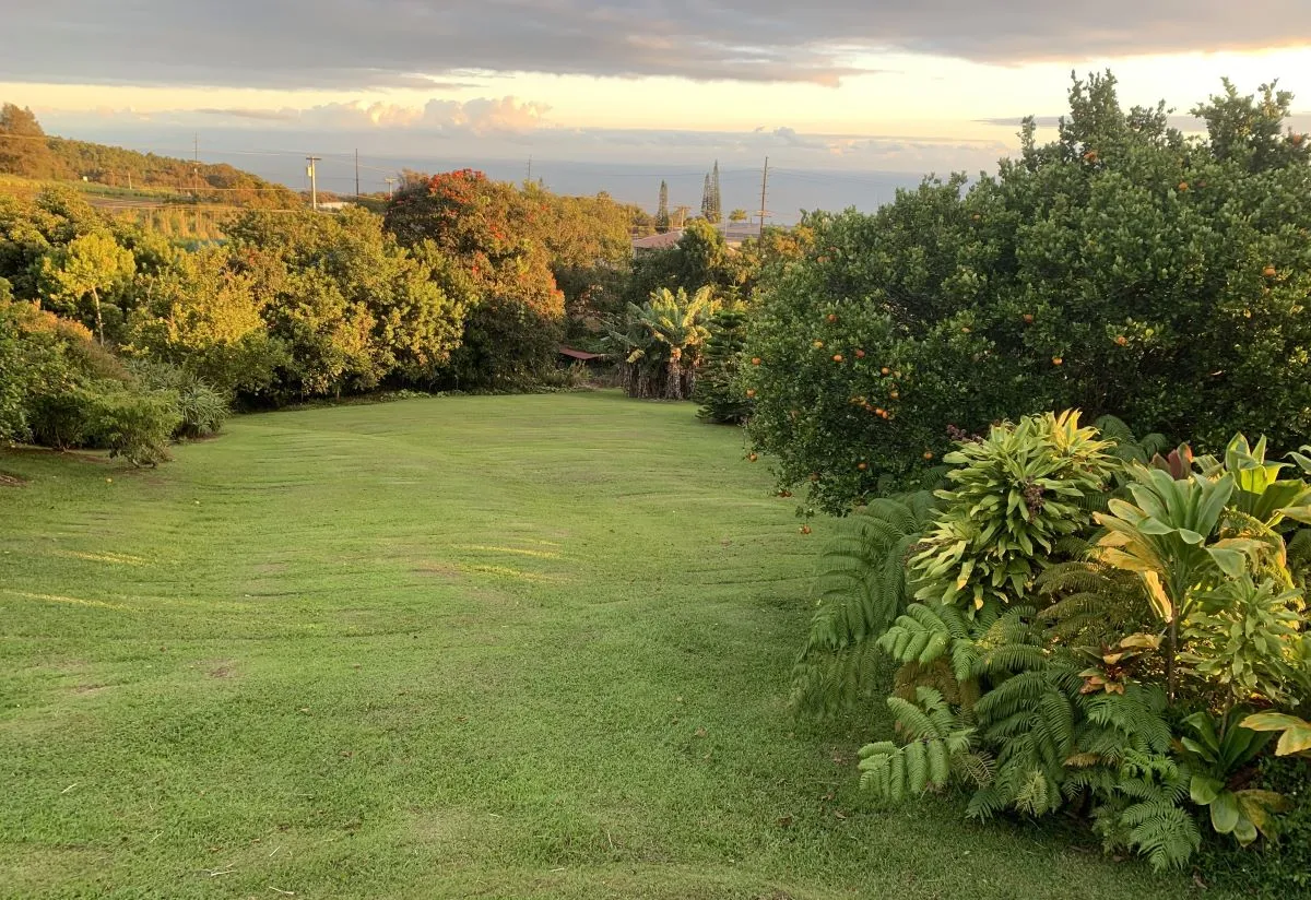 Honokaa, Hawaii 96727, United States, 3 Bedrooms Bedrooms, ,1 BathroomBathrooms,Residential,Active,94289