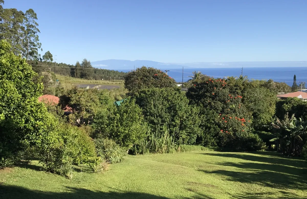 Honokaa, Hawaii 96727, United States, 3 Bedrooms Bedrooms, ,1 BathroomBathrooms,Residential,Active,94289