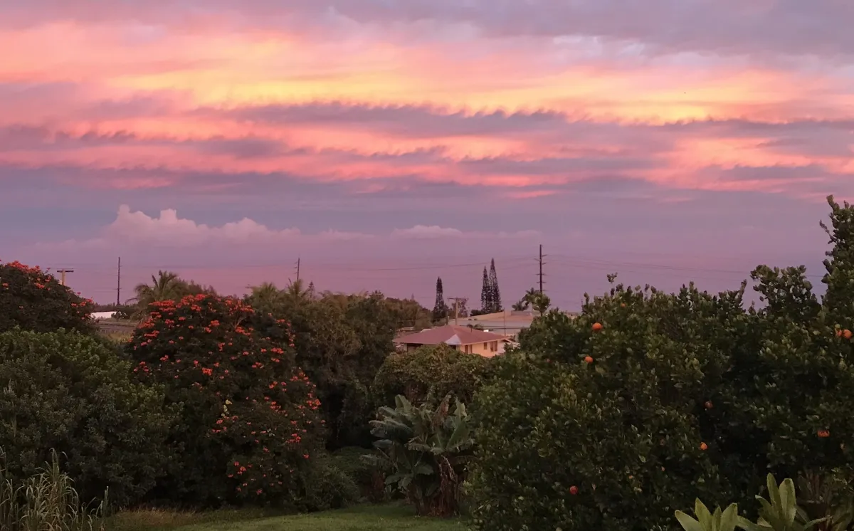 Honokaa, Hawaii 96727, United States, 3 Bedrooms Bedrooms, ,1 BathroomBathrooms,Residential,Active,94289