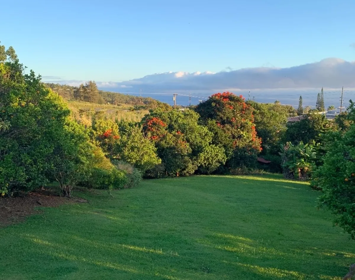 Honokaa, Hawaii 96727, United States, 3 Bedrooms Bedrooms, ,1 BathroomBathrooms,Residential,Active,94289