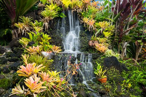 Tiny photo for 3275 Kalihiwai Rd #A & B, Kilauea, HI 96754 (MLS # 725163)