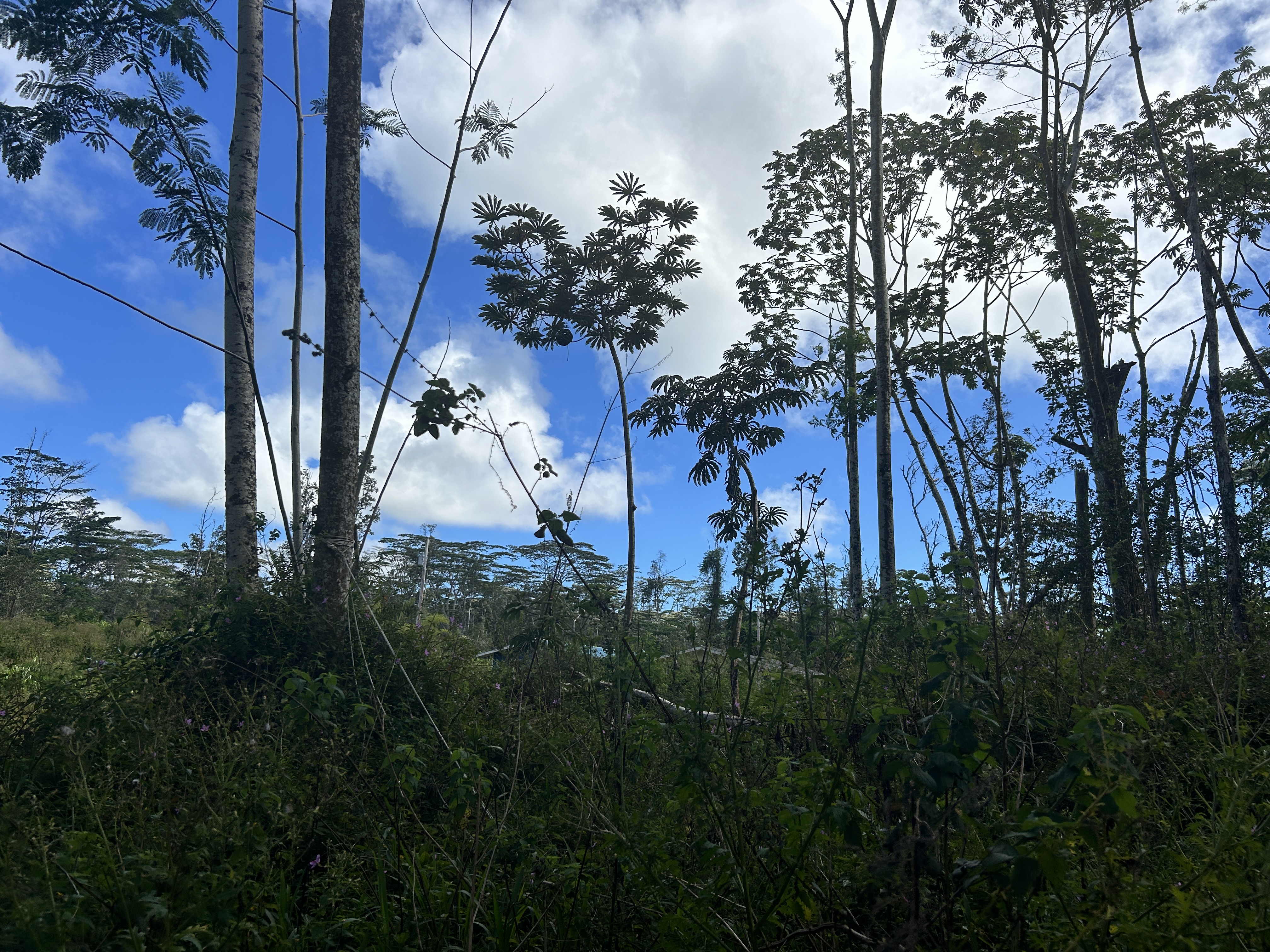 Photo 1 of 13 — PLUMERIA RD, Pahoa, HI 96778