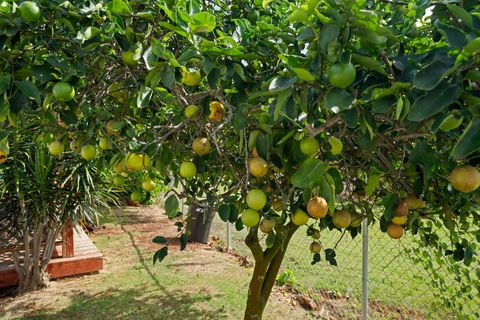 Tiny photo for 3144-A Unahe St, Lihue, HI 96766 (MLS # 726098)