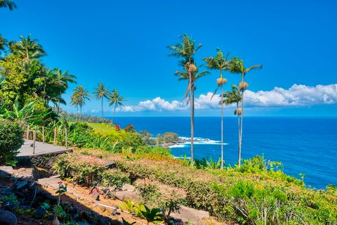 Photo of 36-2335 Old Mamalahoa Highway, Laupahoehoe, HI 96764 (MLS # 718152)
