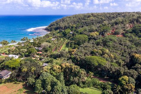 Tiny photo for Moloaa Rd, Anahola, HI 96703 (MLS # 727021)