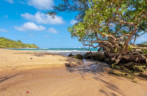 Tiny photo for Moloaa Rd, Anahola, HI 96703 (MLS # 727021)