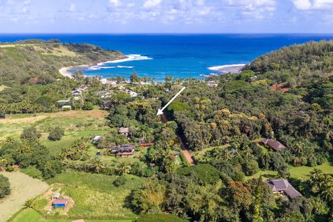 Photo of Moloaa Rd, Anahola, HI 96703 (MLS # 727021)