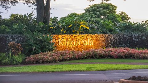 Tiny photo for 13 Aka ' Ula Pl, Koloa, HI 96756 (MLS # 720839)