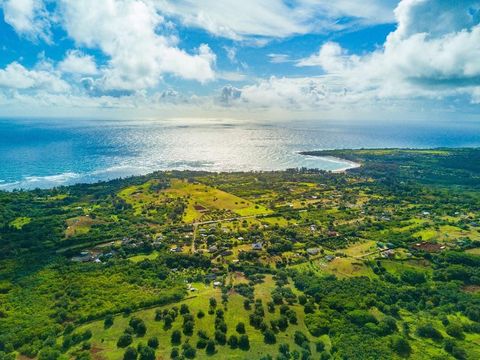 Tiny photo for 1 Hui Rd #1, Anahola, HI 96746 (MLS # 725863)