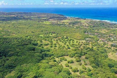 Tiny photo for 1 Hui Rd #1, Anahola, HI 96746 (MLS # 725863)