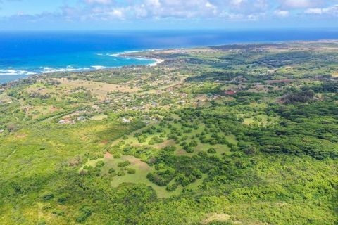 Tiny photo for 1 Hui Rd #1, Anahola, HI 96746 (MLS # 725863)