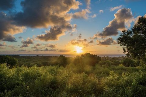 Tiny photo for 1 Hui Rd #1, Anahola, HI 96746 (MLS # 725863)