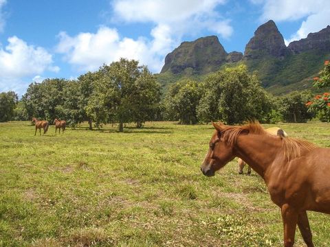 Tiny photo for 1 Hui Rd #1, Anahola, HI 96746 (MLS # 725863)