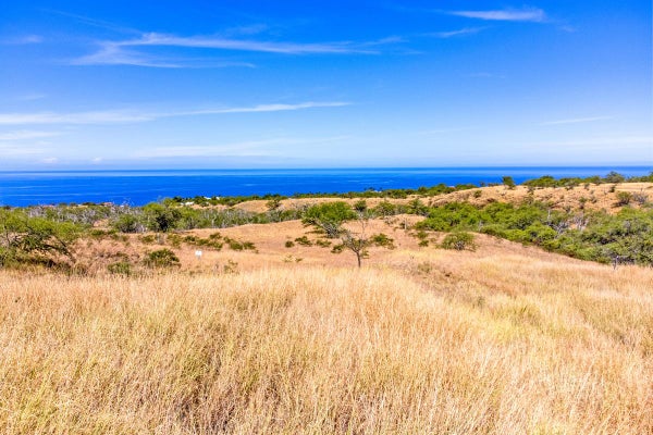 ADDRESS PRIVATE, KAPAAU, HI 96755 - Image 2158a4adefca205a95680f8a97644c6e/3473145679