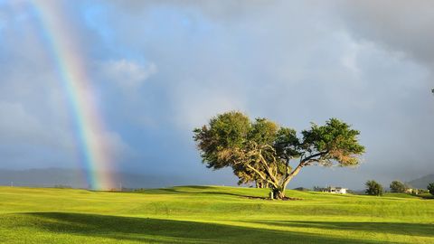 Tiny photo for 2750 Milo Hae Lp, Koloa, HI 96756 (MLS # 724791)