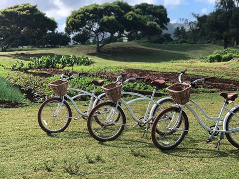 Tiny photo for 3770 Alaoli Way #2004, Lihue, HI 96766 (MLS # 730218)