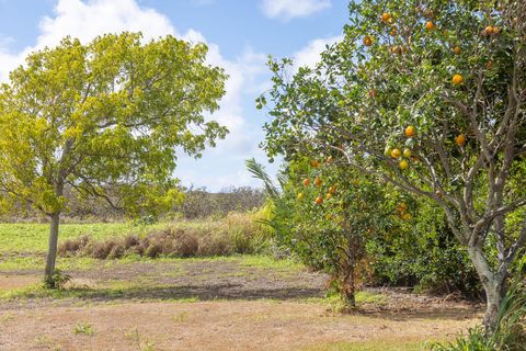 Tiny photo for Poipu Aina Pl, Koloa, HI 96756 (MLS # 724478)