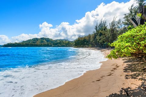 Tiny photo for 5-7062 Kuhio Hwy, Hanalei, HI 96722 (MLS # 727481)