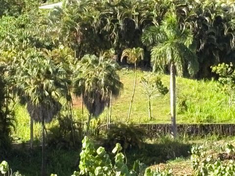 Tiny photo for 6631-A Kipapa Rd, Kapaa, HI 96746 (MLS # 724603)