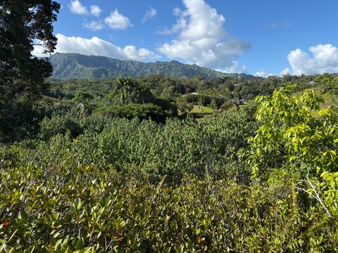 Tiny photo for 6631-A Kipapa Rd, Kapaa, HI 96746 (MLS # 724603)