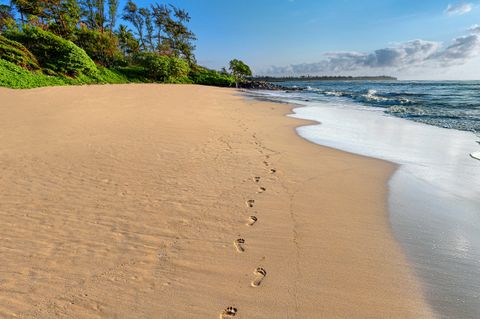 Tiny photo for 4460 Nehe Rd #215, Lihue, HI 96766 (MLS # 724872)