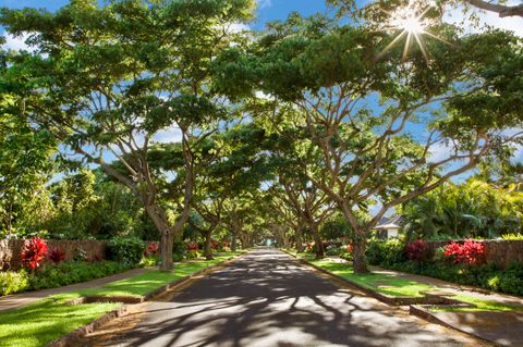 Tiny photo for 5020 Lau Nahele St, Koloa, HI 96756 (MLS # 729208)