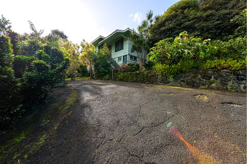 Photo of 36-2335 Puualaea Homestead Rd, Laupahoehoe, HI 96764 (MLS # 728319)