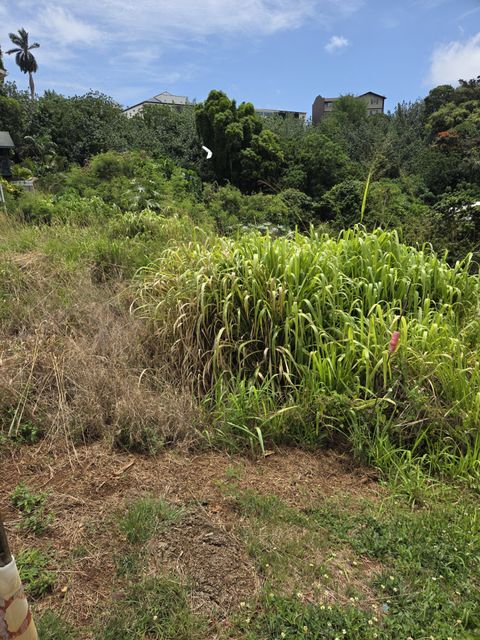 Tiny photo for 2928 Waa Rd, Lihue, HI 96766 (MLS # 721377)