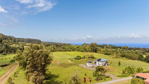 Photo of 29-2584 Kaiwiki Homestead Rd, Hakalau, HI 96710 (MLS # 718766)