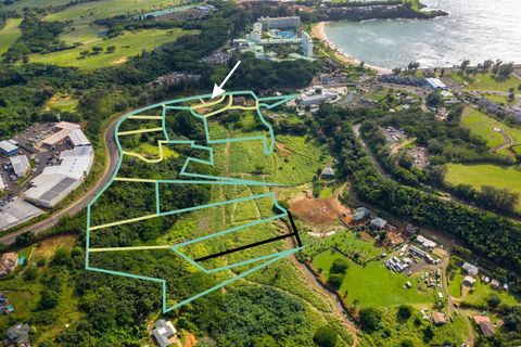Photo of Rice St #3, Lihue, HI 96766 (MLS # 728807)