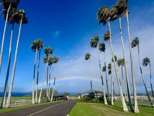 562891 HALEAKALA VIEW PL, HAWI, HI 96719 - Image 36f80ac5aa344f7a7d2086f2073dbbc8/615888167