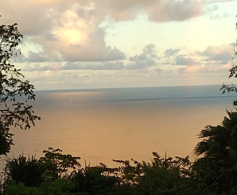 Photo of 35-2064 Old Mamalahoa Highway, Laupahoehoe, HI 96764 (MLS # 722787)
