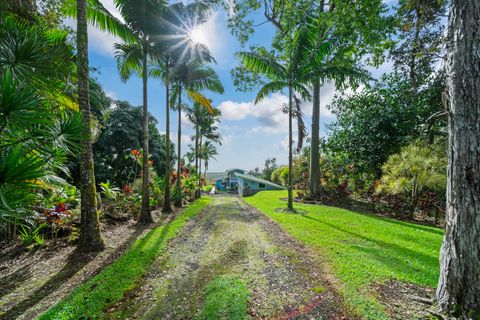 Photo of 13-763 Malama St, Pahoa, HI 96778 (MLS # 727738)