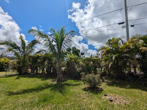 16-2075 HANALE DR Pahoa HI 96778