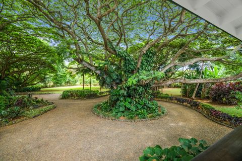 Tiny photo for 5311-A Hauaala Rd, Kapaa, HI 96746 (MLS # 728910)