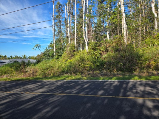 HIBISCUS DR, PAHOA, HI 96778 - Image 3fd0c9e7affa6ec2fed63eb53742e24f/3445768154