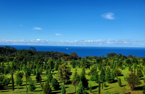 Photo of 32-122 Piha Kahuku Rd #4, Ninole, HI 96780 (MLS # 729568)