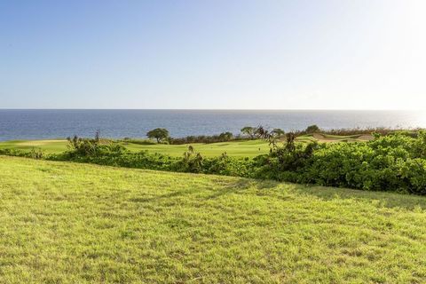 Photo of 18 Noho Kai St, Koloa, HI 96756 (MLS # 721147)