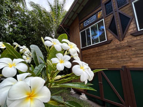 Photo of 13-136 Puakenikeni Pl, Pahoa, HI 96778 (MLS # 732091)
