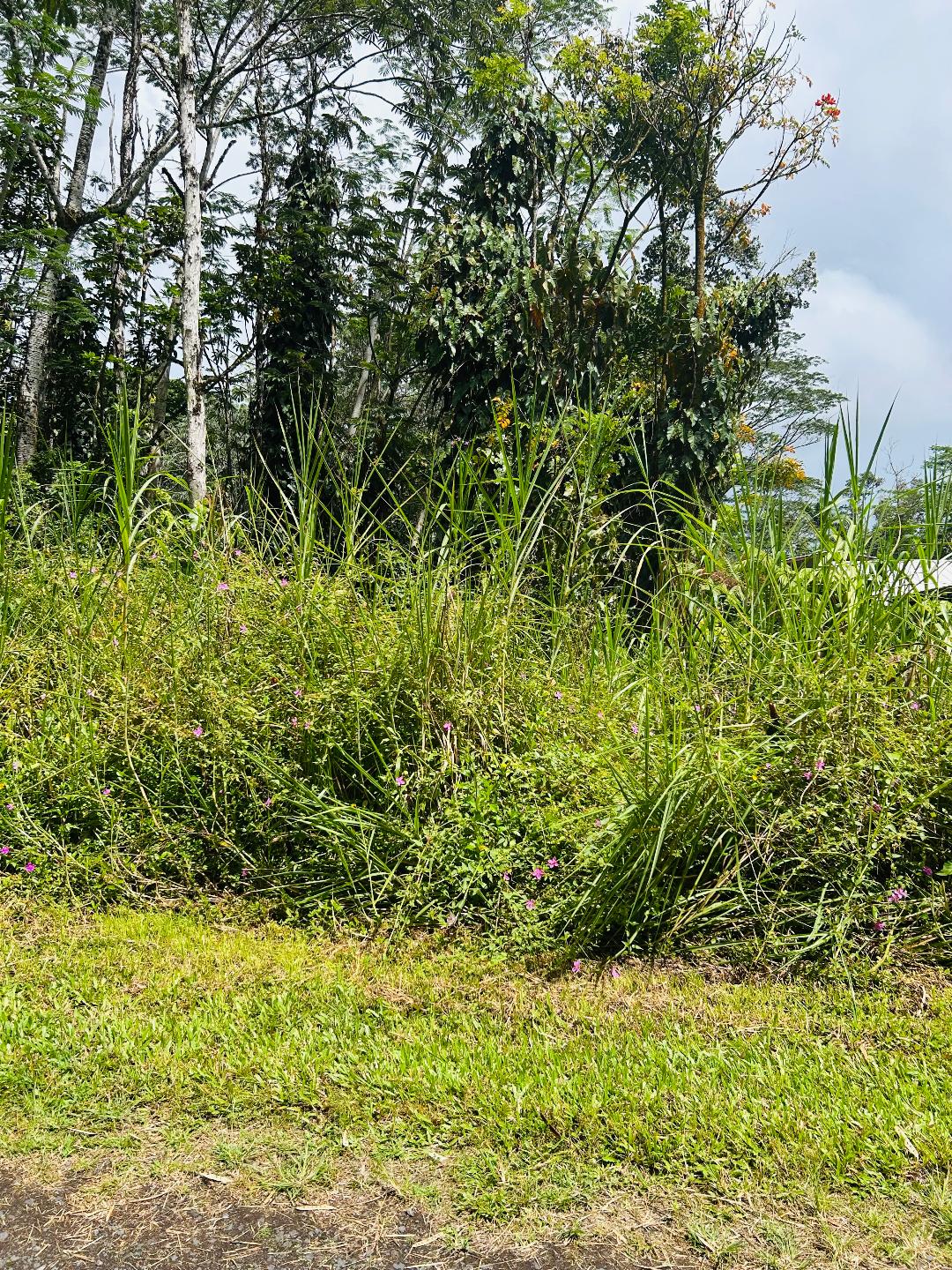 Photo 1 of 10 — NIIHAU RD, Pahoa, HI 96778