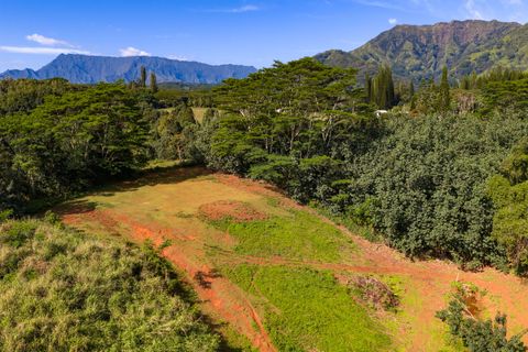 Tiny photo for Kawaihau Rd, Kapaa, HI 96746 (MLS # 727257)