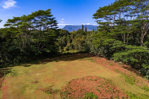 Tiny photo for Kawaihau Rd, Kapaa, HI 96746 (MLS # 727257)