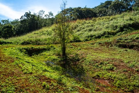 Tiny photo for Kawaihau Rd, Kapaa, HI 96746 (MLS # 727257)