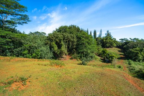 Tiny photo for Kawaihau Rd, Kapaa, HI 96746 (MLS # 727257)
