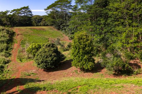 Tiny photo for Kawaihau Rd, Kapaa, HI 96746 (MLS # 727257)