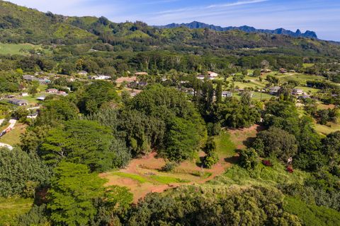 Tiny photo for Kawaihau Rd, Kapaa, HI 96746 (MLS # 727257)