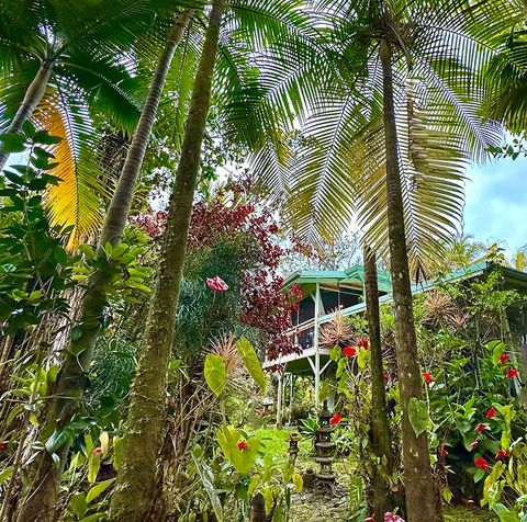 Photo of 13-1291 Kahukai St, Pahoa, HI 96778 (MLS # 727772)