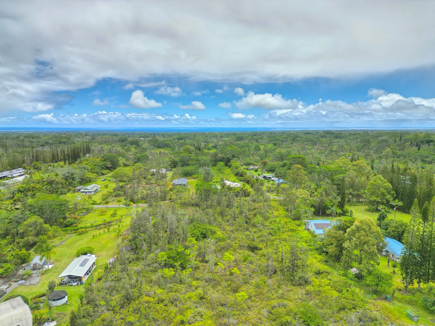 37TH AVE - Photo 3